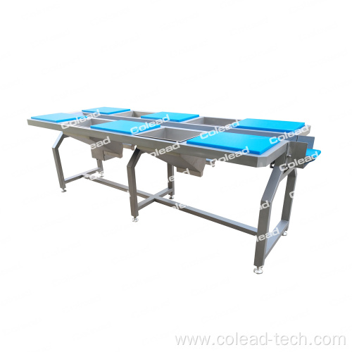 Selection Table Vegetable conveying belt for food